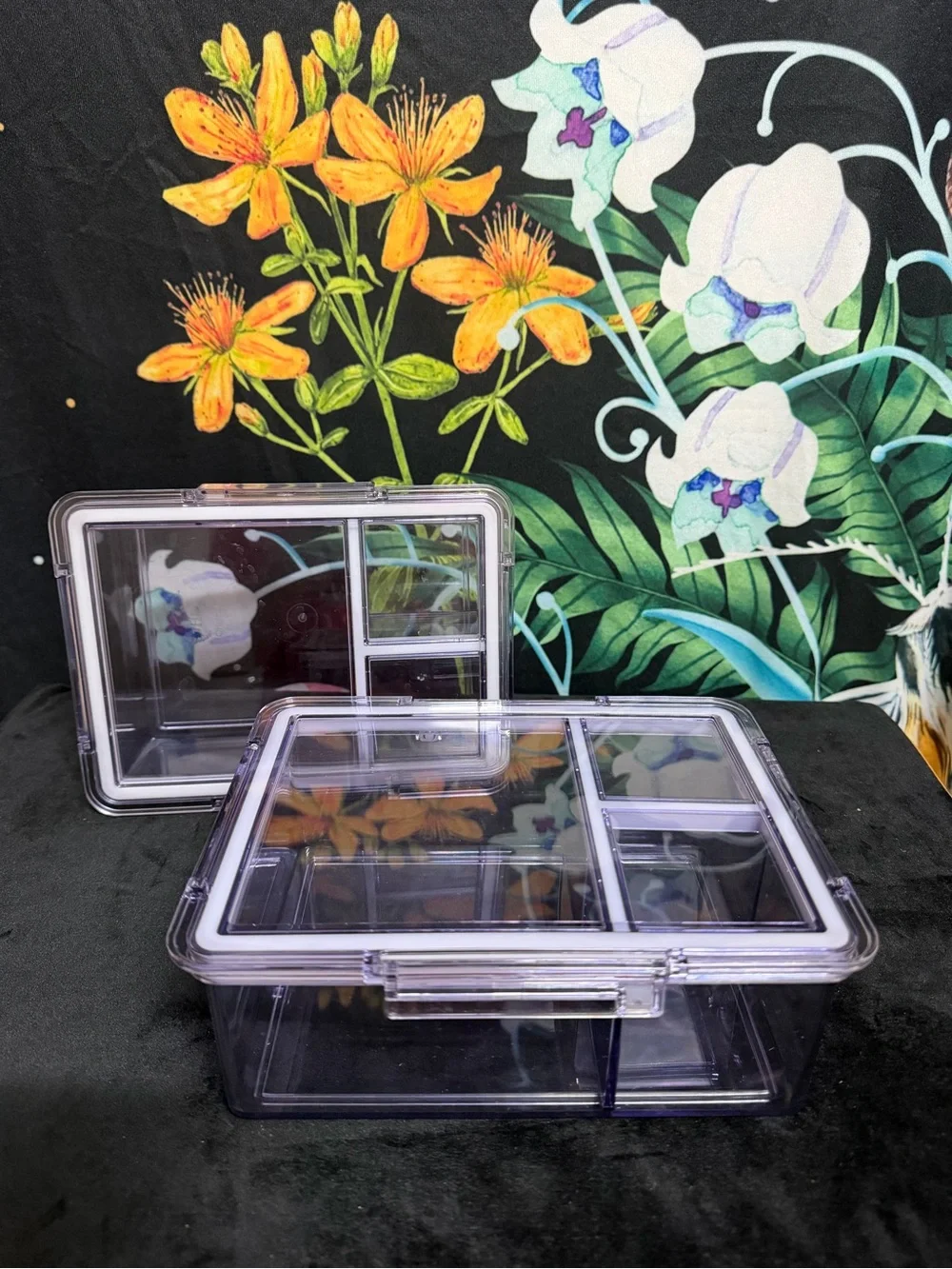 Clear Bento Box food storage container- 2 pack